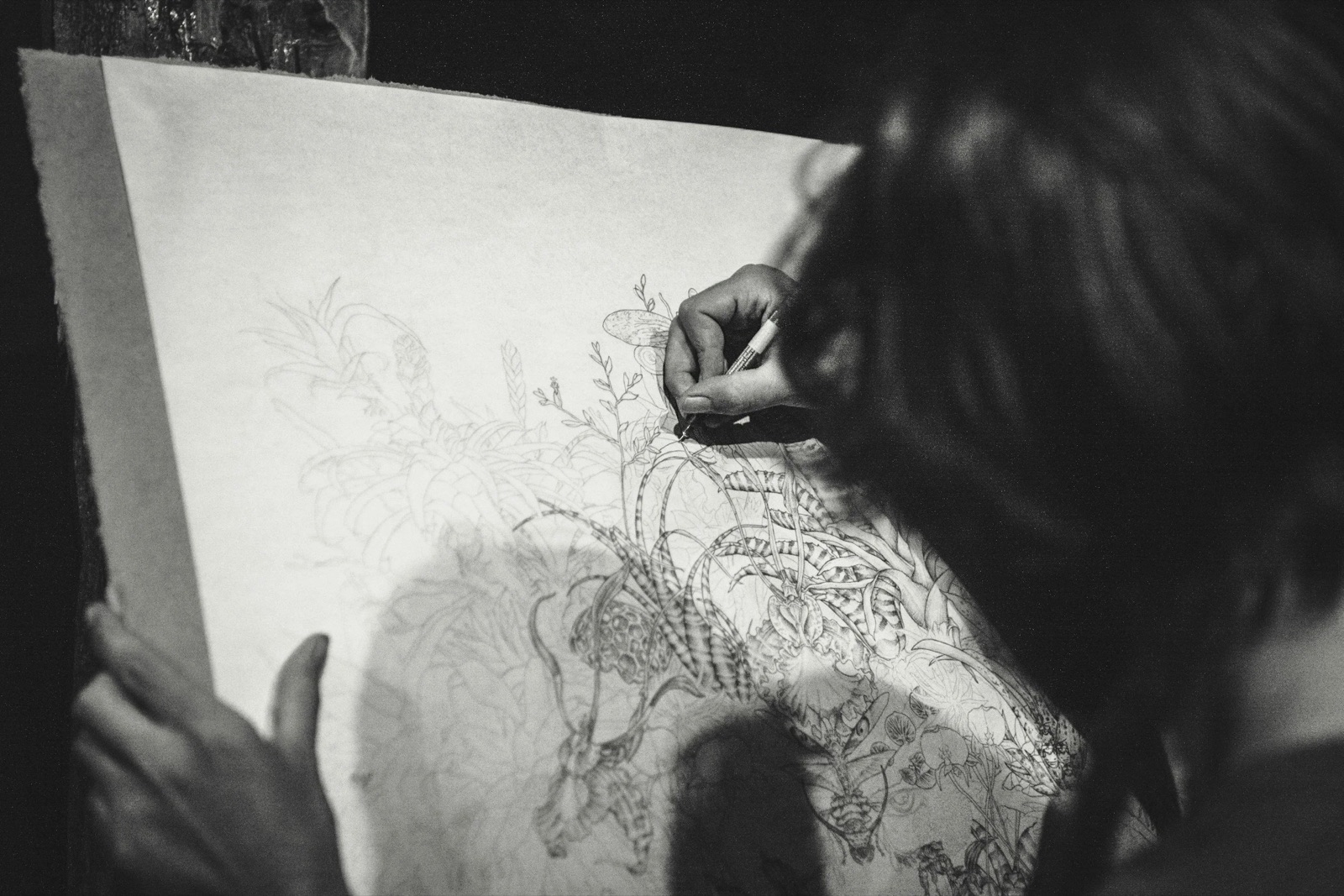 Drawing